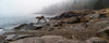 View of rocks at coast, Acadia National Park, Maine, USA Poster Print by Panoramic Images - Item # VARPPI162432