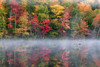 Reflection of trees on water, Adirondack Mountains State Park, New York State, USA Poster Print by Panoramic Images - Item # VARPPI173029