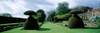 Hedge in a formal garden, Hinton Ampner Garden, Alresford, Hampshire, England Poster Print by Panoramic Images - Item # VARPPI107458