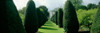 Hedge in a formal garden, Hinton Ampner Garden, Alresford, Hampshire, England Poster Print by Panoramic Images - Item # VARPPI107457