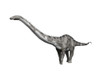 Diplodocus hallorum is a sauropod from the Late Jurassic period. Poster Print by Nobumichi Tamura/Stocktrek Images - Item # VARPSTNBT600265P