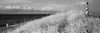 Cape Hatteras Lighthouse on the coast, Hatteras Island, Outer Banks, Buxton, North Carolina, USA Poster Print by Panoramic Images - Item # VARPPI173524