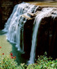 Water falling from rocks, Lower Falls, Letchworth State Park, New York State, USA Poster Print by Panoramic Images - Item # VARPPI167321