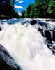 Water flowing from rocks in a forest, Buttermilk Falls, Raquette River, Adirondack Mountains, New York State, USA Poster Print by Panoramic Images - Item # VARPPI167324