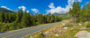 Bear Lake Road passing through forest, Rocky Mountain National Park, Colorado, USA Poster Print by Panoramic Images - Item # VARPPI161502
