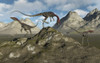 A pack of carnivorous Compsognathus dinosaurs. Poster Print by Mark Stevenson/Stocktrek Images - Item # VARPSTMAS600107P