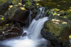 Fishhawk Creek cascades over the rocks near Lee Wooden County Park near Jewell, Oregon; Oregon, United States of America Poster Print by Robert L. Potts / Design Pics - Item # VARDPI12319865