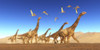 A flock of Thalassodromeus reptiles fly over a herd of Brontomerus dinosaurs. Poster Print by Corey Ford/Stocktrek Images - Item # VARPSTCFR200824P