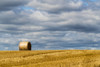 A single hay bale on a cut field under a cloudy sky; Ravensworth, North Yorkshire, England Poster Print by John Short / Design Pics - Item # VARDPI12324617