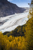 Exit Glacier surrounded by autumn coloured foliage, South-central Alaska near Seward; Alaska, United States of America Poster Print by Doug Lindstrand / Design Pics - Item # VARDPI12320275