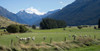 Makarora-Lake Hawea Road, State Highway 6, Queenstown-Lakes District, Otago Region, South Island, New Zealand Poster Print by Panoramic Images - Item # VARPPI171452