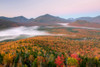 Autumn trees in a forest from Mount Van Hoevenberg, Adirondack Mountains State Park, New York State, USA Poster Print by Panoramic Images - Item # VARPPI173026