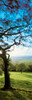 View of tree in valley, Wales Poster Print by Panoramic Images - Item # VARPPI161454