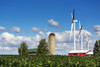 Large metal windmills in a farm yard with red barn and silo, soy bean field in the foreground and blue sky and clouds in the background; Ontario, Canada Poster Print by Michael Interisano / Design Pics - Item # VARDPI12321657