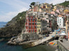 View of little harbor of Riomaggiore, La Spezia, Liguria, Italy Poster Print by Panoramic Images - Item # VARPPI158382