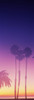 Silhouette of palm trees on beach during fog at sunset, Santa Barbara, California, USA Poster Print by Panoramic Images - Item # VARPPI158569