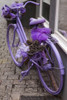 Purple bicycle on street, Limburg an der Lahn, Hesse, Germany Poster Print by Panoramic Images - Item # VARPPI174005