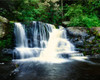 Water falling from rocks, Dingmans Creek, George W Childs Recreation Site, Delaware Water Gap National Recreation Area, Pennsylvania, USA Poster Print by Panoramic Images - Item # VARPPI167326