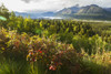 Matanuska Glacier, viewed from Glenn Highway near Sheep Mountain; Alaska, United States of America Poster Print by Doug Lindstrand / Design Pics - Item # VARDPI12318781