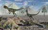 A small pack of Dilophosaurus dinosaurs during Earth's Jurassic period. Poster Print by Mark Stevenson/Stocktrek Images - Item # VARPSTMAS600135P