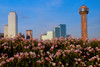 Scenic Dallas skyline with Reunion Tower Poster Print by Panoramic Images - Item # VARPPI182761