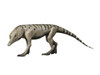 Chanaresuchus is an archosaur of the Triassic period. Poster Print by Nobumichi Tamura/Stocktrek Images - Item # VARPSTNBT600165P