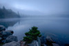Fog over pond at sunrise, Copperas Pond, Adirondack Mountains State Park, New York State, USA Poster Print by Panoramic Images - Item # VARPPI173023