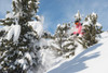 Snowboarding in powder snow; St. Moritz, Graubunden, Switzerland Poster Print by Roland Hemmi / Design Pics - Item # VARDPI12251662