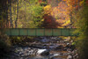 Scenic bridge over White river in autumn; Granville, Vermont, United States of America Poster Print by Jenna Szerlag / Design Pics - Item # VARDPI12309650