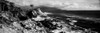Lone cypress on the coast, Pebble Beach, Monterey County, California, USA Poster Print by Panoramic Images - Item # VARPPI173640