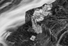 A brook flowing out of Hobsons Lake with ice on the wet rock, Birch Cove Lakes Wilderness; Bedford, Nova Scotia, Canada Poster Print by Irwin Barrett / Design Pics - Item # VARDPI12325101