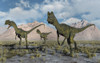 A small pack of Dilophosaurus dinosaurs during Earth's Jurassic period. Poster Print by Mark Stevenson/Stocktrek Images - Item # VARPSTMAS600137P