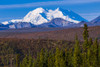 View of Denali from the portion of the park road open to the public in Denali National Park; Alaska, United States of America Poster Print by Steven Miley / Design Pics - Item # VARDPI12320236