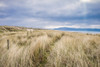The sand dunes along Inch Beach in the Dingle Peninsula; County Kerry, Ireland Poster Print by Leah Bignell / Design Pics - Item # VARDPI12306540