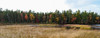 Trees in forest during autumn, Mount Desert Island, Acadia National Park, Hancock County, Maine, USA Poster Print by Panoramic Images - Item # VARPPI162272