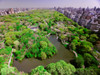 Aerial view of Central Park in spring near Columbus Circle in Manhattan, New York City, New York Poster Print by Panoramic Images - Item # VARPPI181798