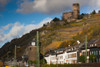 Gutenfels Castle above the town of Kaub, Rhineland-Palatinate, Germany Poster Print by Panoramic Images - Item # VARPPI174031