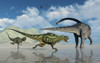 An Omeisaurus being chased by a pair of Yangchuanosaurus dinosaurs. Poster Print by Mark Stevenson/Stocktrek Images - Item # VARPSTMAS600177P