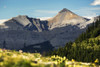 Mountain range with wildflowers on hillside in the foreground and blue sky; Bragg Creek, Alberta, Canada Poster Print by Michael Interisano / Design Pics - Item # VARDPI12318930