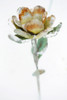 A metal flower encased in ice from an ice storm against a white background Poster Print by Colleen Cahill / Design Pics - Item # VARDPI12322763