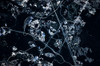 Satellite view of Disneyworld, Orlando, Florida, USA Poster Print by Panoramic Images - Item # VARPPI181226