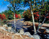 River flowing through a forest, Swift River, Kancamagus Highway, White Mountain National Forest, New Hampshire, USA Poster Print by Panoramic Images - Item # VARPPI167337