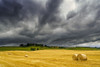 Dark storm clouds roll over a golden farm field with hay bales; Ravensworth, North Yorkshire, England Poster Print by John Short / Design Pics - Item # VARDPI12320294