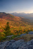 Autumn trees on mountain, Baxter Mountain, Adirondack Mountains State Park, New York State, USA Poster Print by Panoramic Images - Item # VARPPI173033