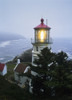 The Heceta Head Lighthouse flashes on a foggy morning; Florence, Oregon, United States of America Poster Print by Robert L. Potts / Design Pics - Item # VARDPI2398068