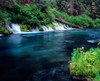 Metolius River near Camp Sherman, Deschutes National Forest, Jefferson County, Oregon, USA Poster Print by Panoramic Images - Item # VARPPI173806