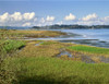 Town of Astoria across Youngs Bay, Clatsop County, Oregon, USA Poster Print by Panoramic Images - Item # VARPPI173782