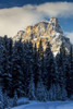Snow covered rugged mountain and evergreen trees, snow covered road, with blue sky and clouds; Banff, Alberta, Canada Poster Print by Michael Interisano / Design Pics - Item # VARDPI12324631