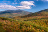 Trees on Giant Mountain From Owls Head, Adirondack Mountains State Park, New York State, USA Poster Print by Panoramic Images - Item # VARPPI173027