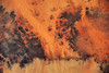Satellite view of Sahara Desert, New Valley Governorate, Egypt Poster Print by Panoramic Images - Item # VARPPI181249